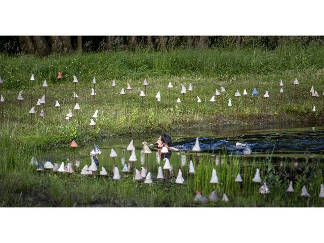 breek je schild vijver  kopieren